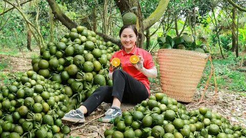 Làm Video Ngắn – Vừa Sáng Tạo, Vừa Kiếm Tiền Với Công Cụ Hữu Ích