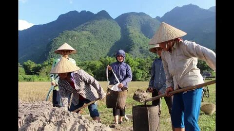 Đạt 8 điểm Toán trở lên mới được đăng ký học bán dẫn